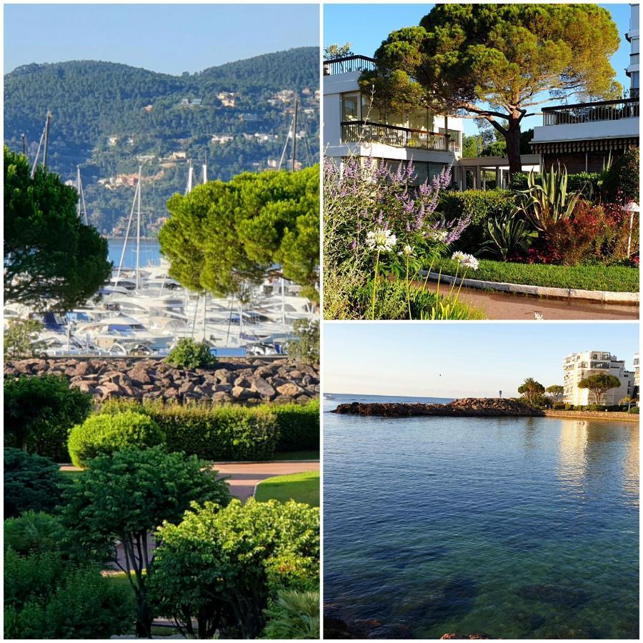 Garden And Beach Sea View Apartment Cannes Mandelieu Kültér fotó